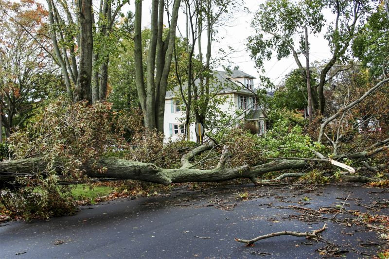 Storm Damage Scene